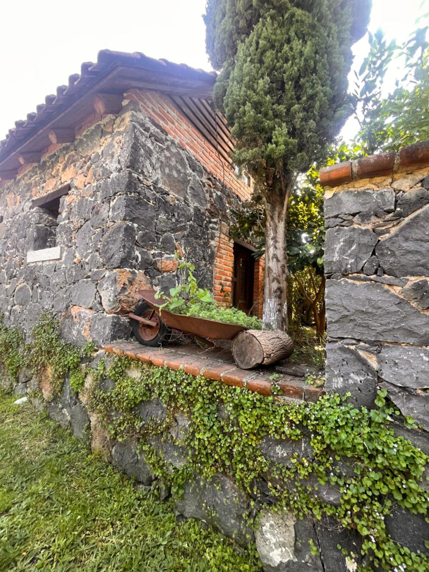Cabanas Cumbres De Aguacatitla Huasca de Ocampo Exterior photo