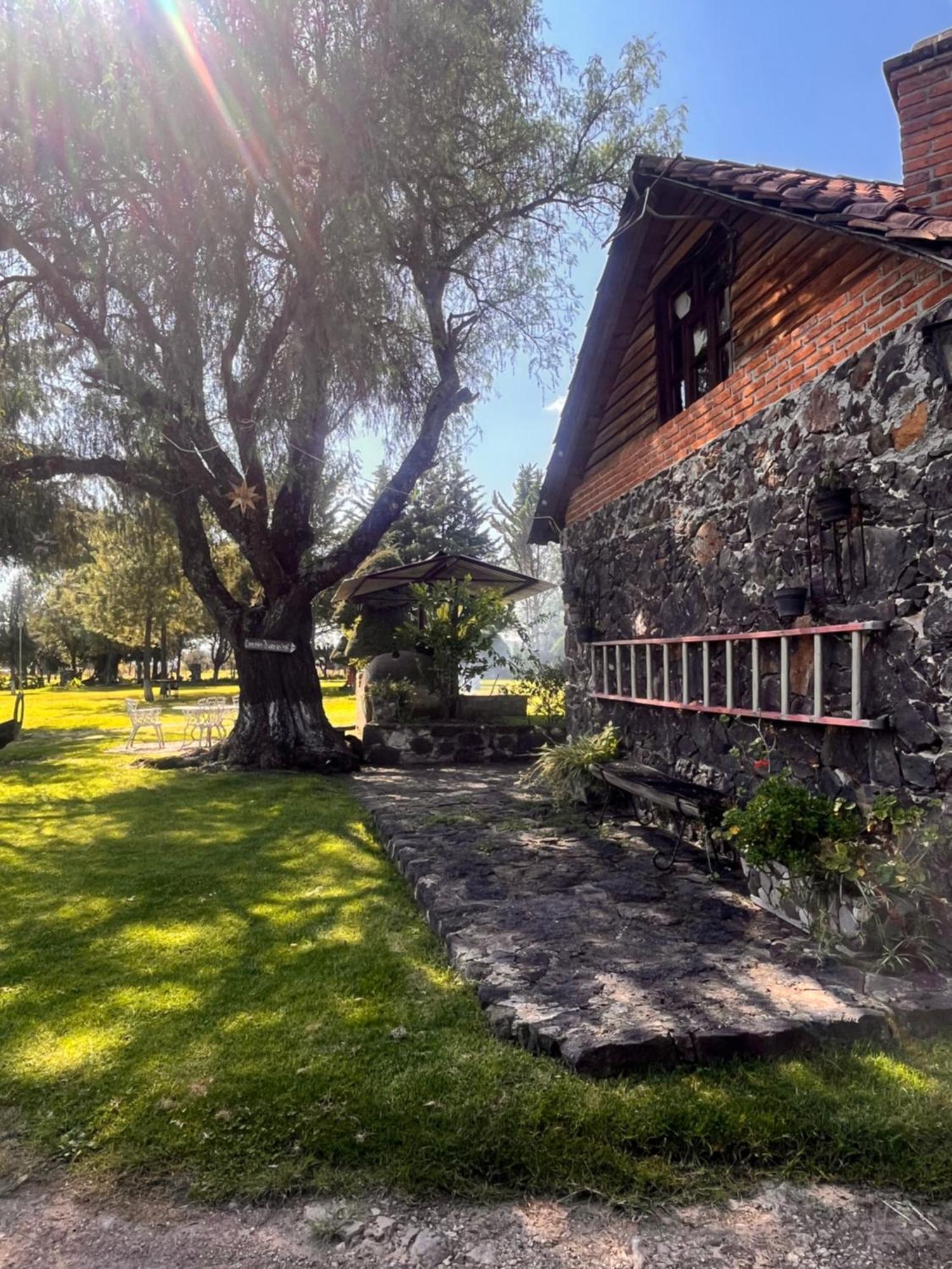 Cabanas Cumbres De Aguacatitla Huasca de Ocampo Exterior photo